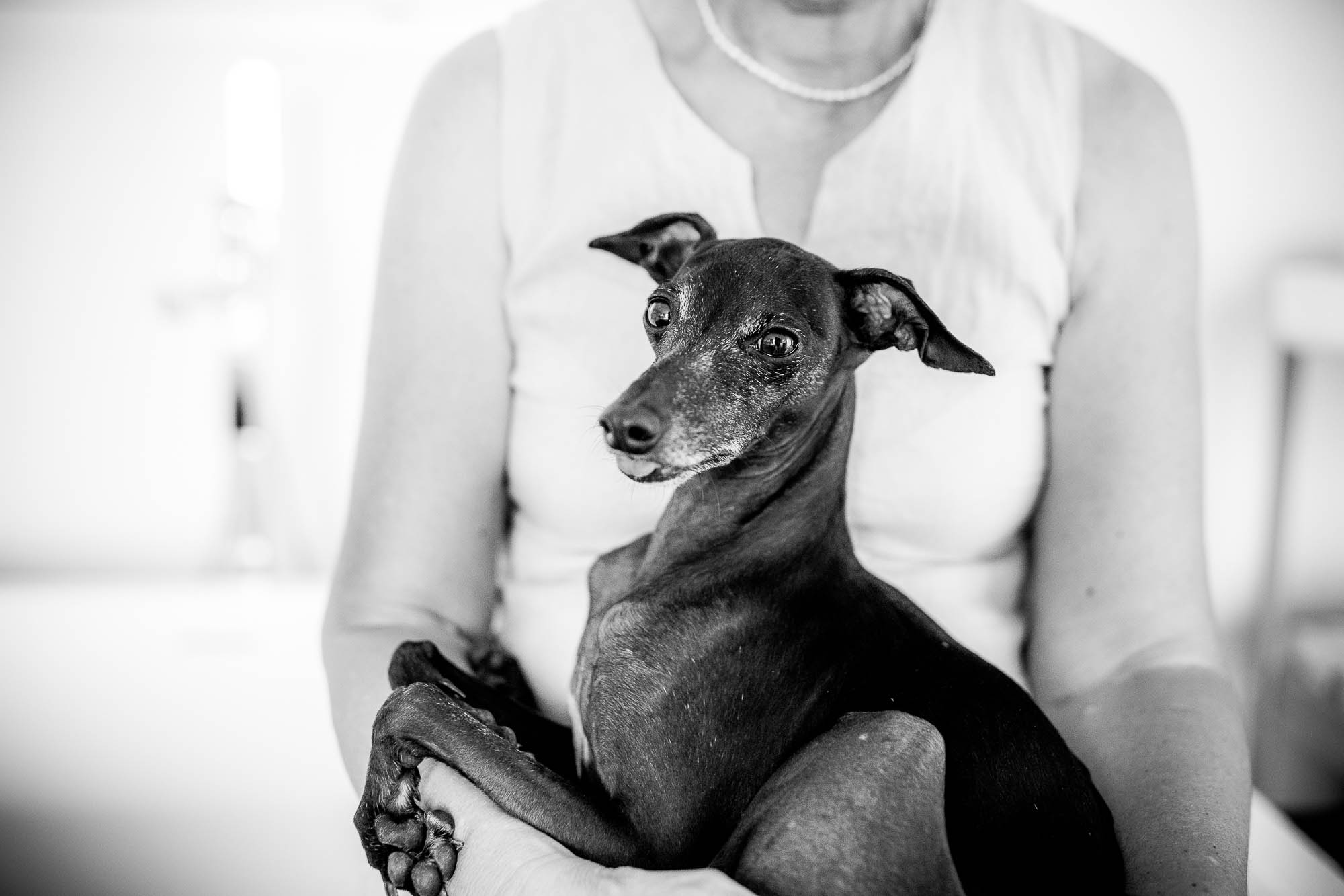 Export x3 1DX26322 Fotoshooting 2020 Zito